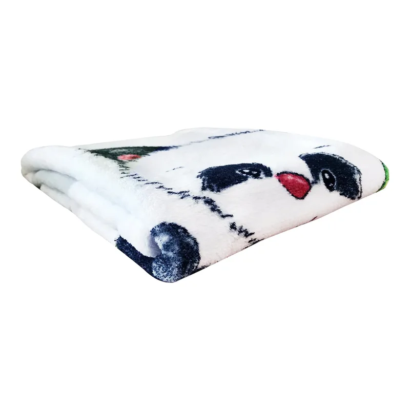 Babydecke Fynn Panda 75x100 cm de Baby Best en Blanc, 1000 × 750 mm – photo produit 1 sur 2