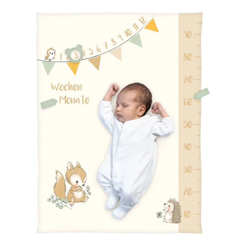 Babydecke Microfaserflausch Meilenstein 75x100 cm de Baby Best en Beige, 100 × 75 mm – photo produit 1 sur 3