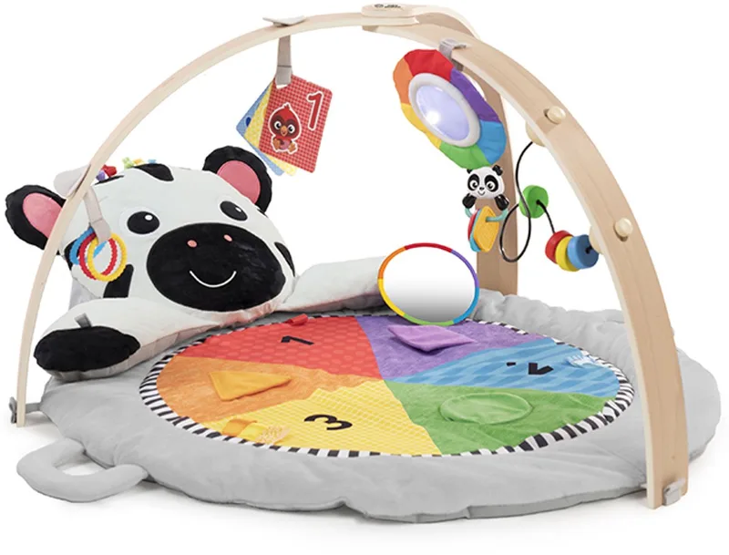 Baby pluche activity gym milestones van Baby Einstein in Meerkleurig – productfoto