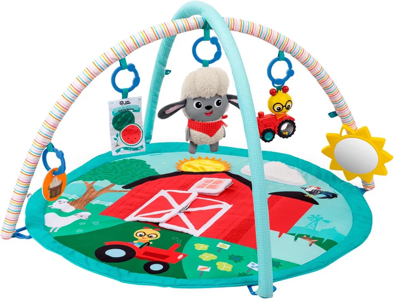Activity gym happy harvest touch & feel van Baby Einstein in Meerkleurig – productfoto