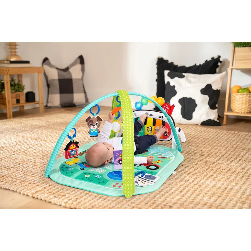 Spielbogen mit Activity-Spieldecke 4in1 Farm Explorers van Baby Einstein in Meerkleurig – productfoto
