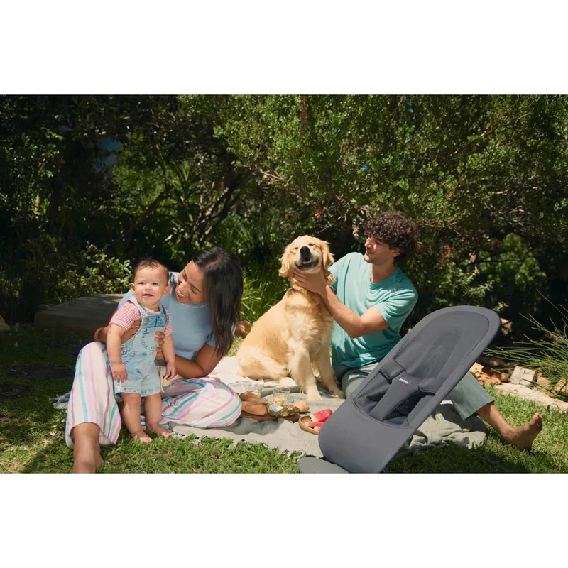 Babywippe Begin Mesh by BabyBjörn in Grey, 11 × 92,5 × 40 mm – product photo