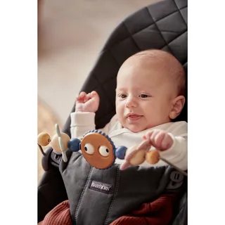 Spielbogen für Babywippe von BabyBjörn in Mehrfarbig, 33 × 18 mm – Produktfoto 1 von 3