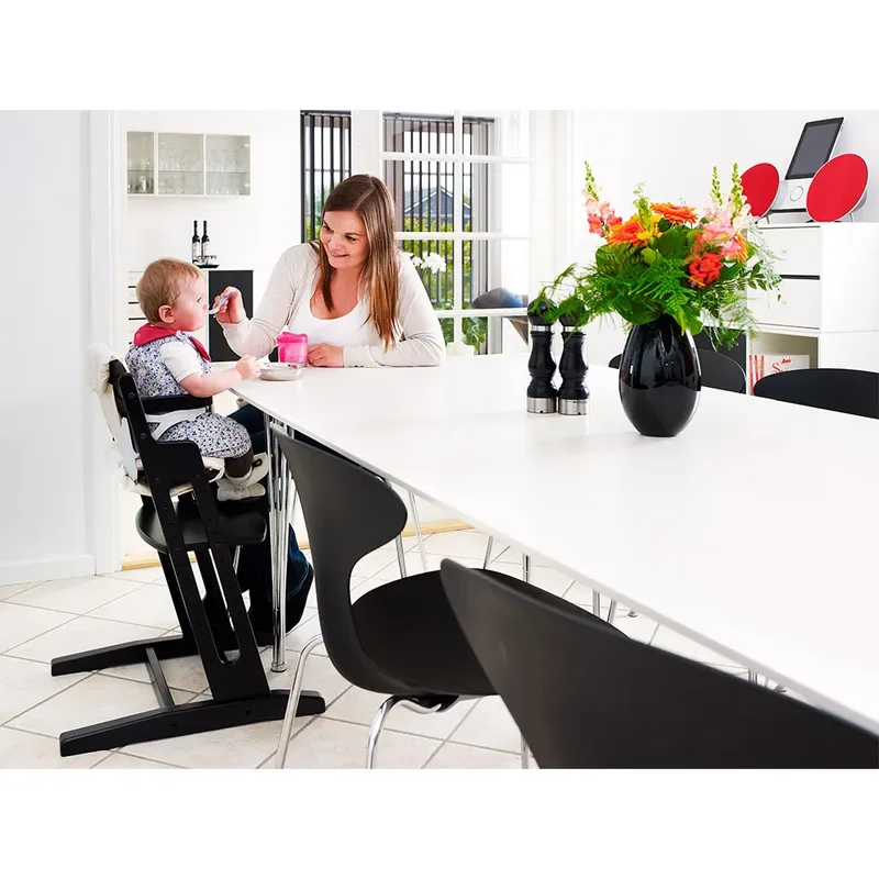 mee-groei-kinderstoel met voorbeugel in by BabyDan in Black – product photo 2 of 2