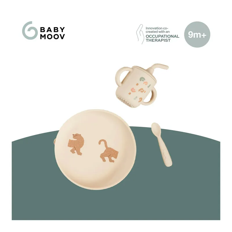 Maaltijdkoffer als een grote rozen van Babymoov in 23 × 23 × 8 mm – productfoto