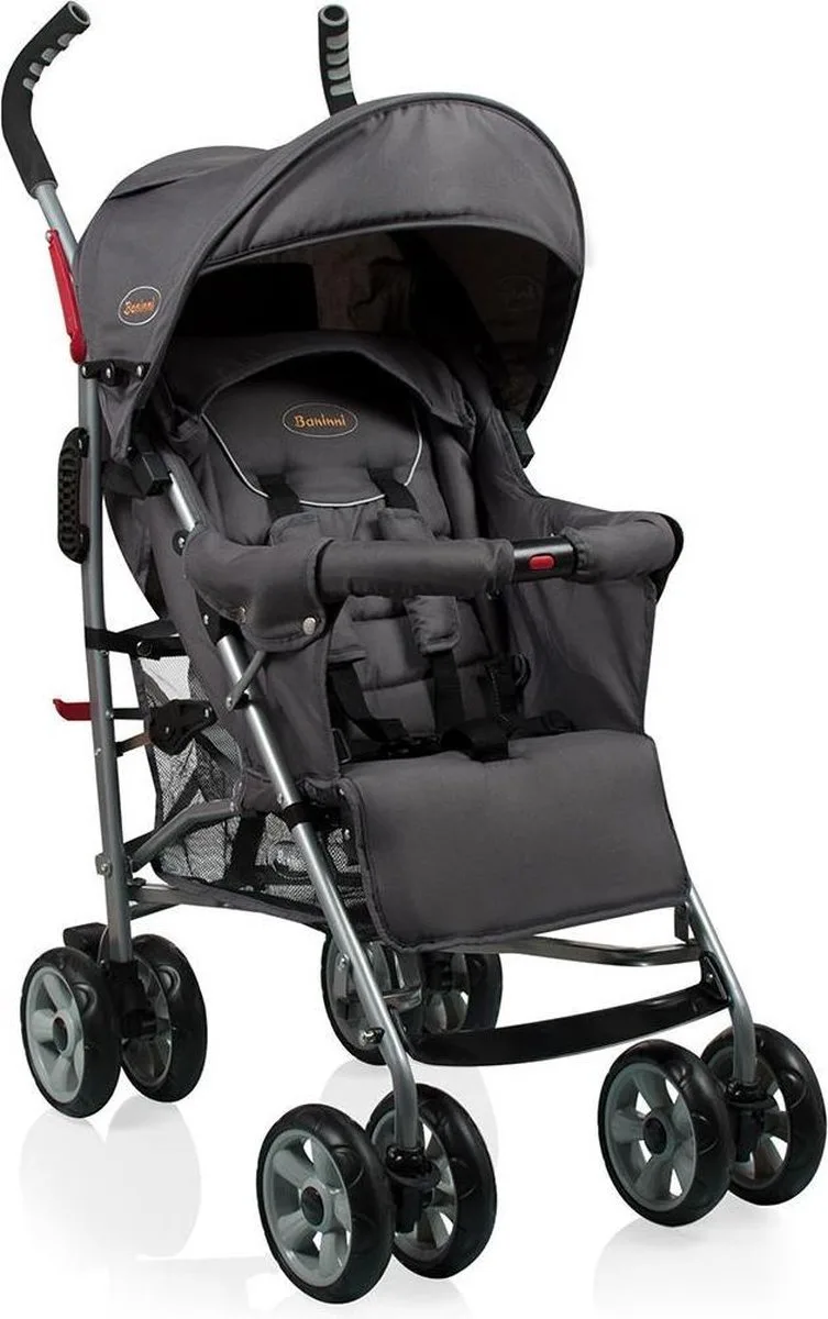 Buggy Luca - Incl. Regenhoes van Baninni in Grijs – productfoto