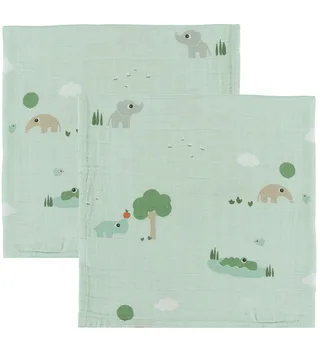 Hydrofiele Doek - 2-pack - 65x65 cm - Speeltuin - B by Done by Deer – product photo 1 of 2