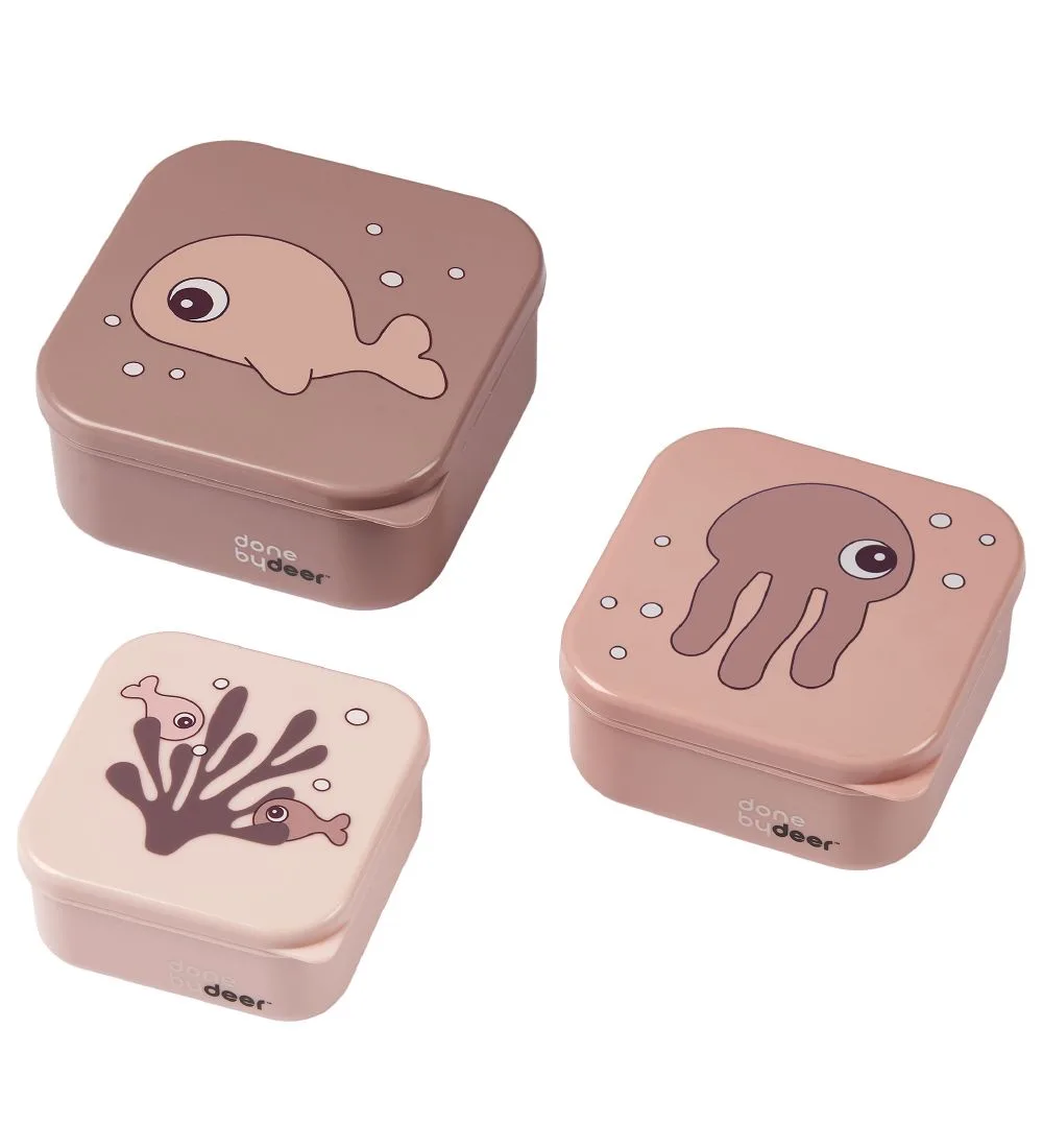 Snackbox - Sea Friends - 3-pack - Powder van Done by Deer – productfoto