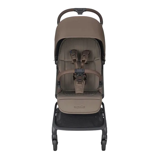 Buggy Rockey Travel