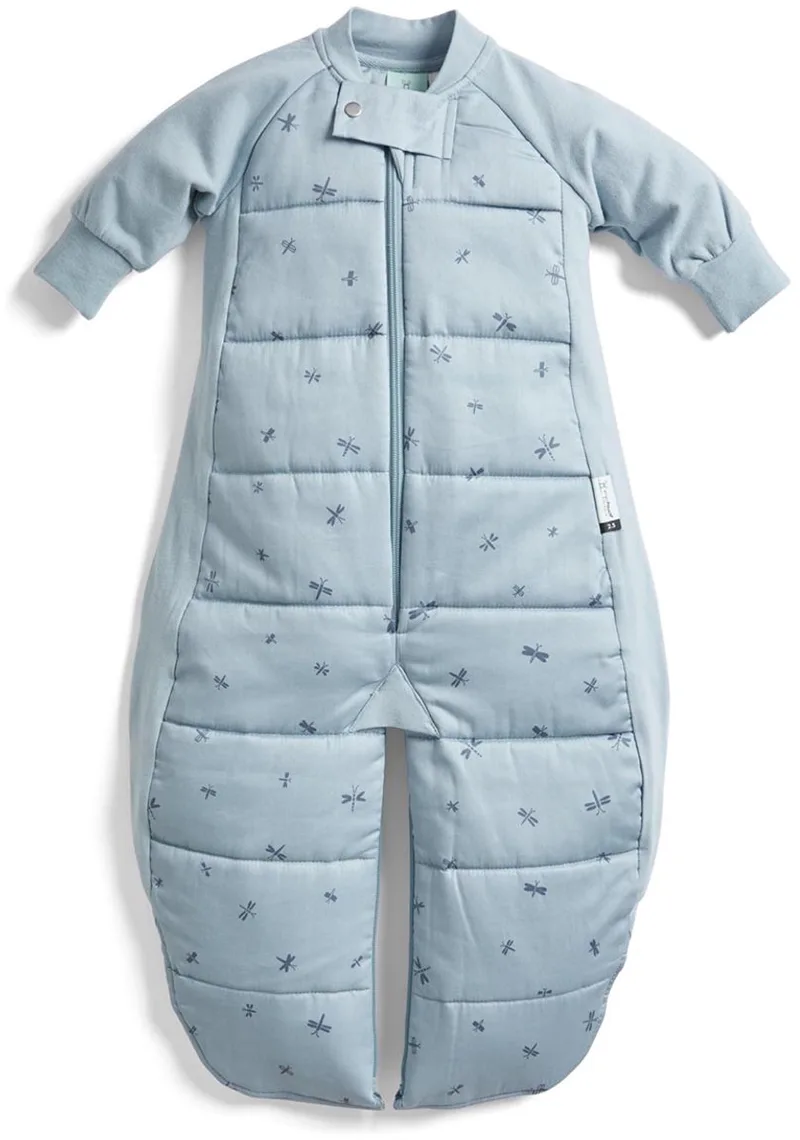 Sleepsuit Slaapzak - 2,5 Tog - Slaapzak- Slaapzak baby - Slaapzakken - Slaapzak kind winter - 8-24 md - Slaapzak 90 cm by ergoPouch in Dragonflies – product photo