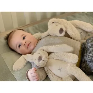 Konijn Richie Knuffel 28cm - Baby knuffel de Happy Horse en Beige – photo produit 3 sur 4