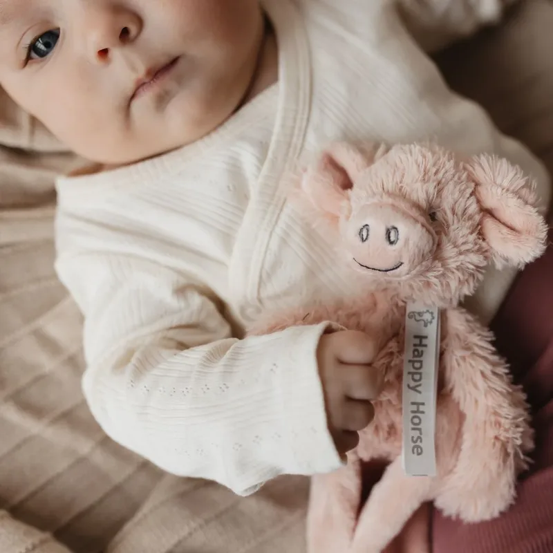 Varken Perry Knuffeldoekje - Baby cadeau by Happy Horse in Pink – product photo 2 of 3