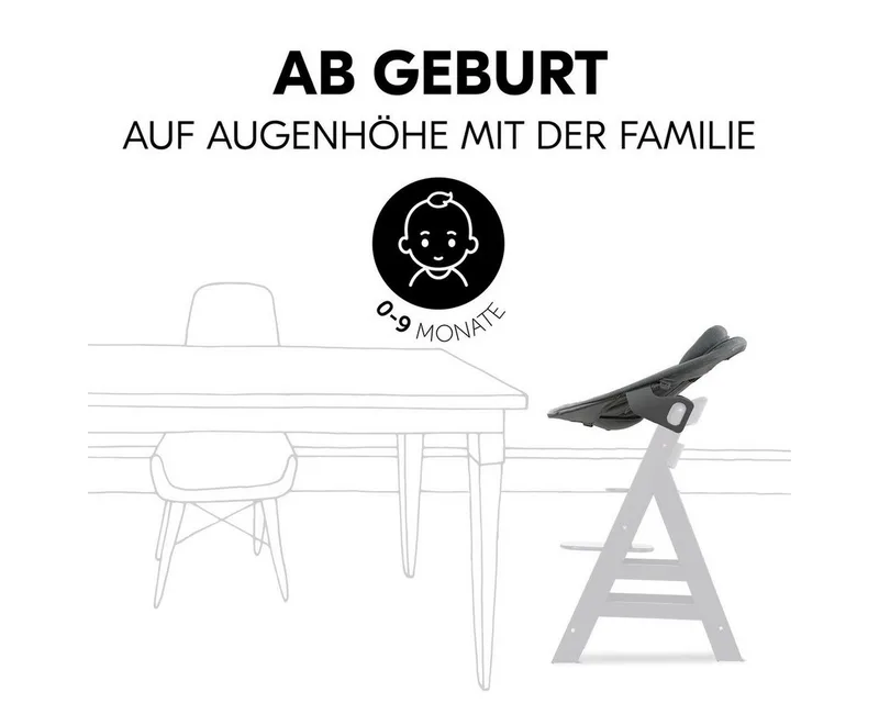 Alpha Bouncer Premium - Wipstoel von Hauck in Dunkelgrau – Produktfoto 3 von 5