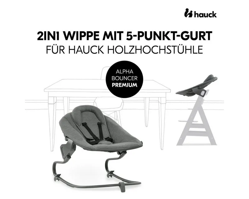 Alpha Bouncer Premium - Wipstoel von Hauck in Dunkelgrau – Produktfoto 2 von 5