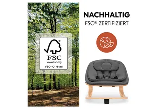Hochstuhl Alpha Move Newborn Set Eco - Deep Grey - Natur, Holz Babystuhl ab Geburt mit Neugeborenensufsatz, Sitzkissen, Essbrett van Hauck – productfoto 3 van 5