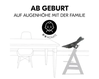 Hochstuhl Alpha Plus Black Newborn Set Premium, Holz Babystuhl ab Geburt inkl. Aufsatz für Neugeborene & Sitzauflage by Hauck in Black – product photo 4 of 5