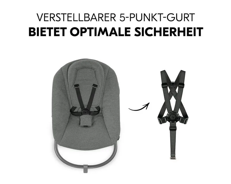 Hochstuhl Alpha Plus Black Newborn Set Premium, Holz Babystuhl ab Geburt inkl. Aufsatz für Neugeborene & Sitzauflage by Hauck in Black – product photo 5 of 5