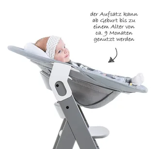 Hochstuhl Alpha Plus Grey - Newborn Set (Set, 4 St), Holz Babystuhl ab Geburt mit Aufsatz für Neugeborene höhenverstellbar von Hauck in Grau – Produktfoto 3 von 3