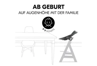 Hochstuhl Alpha Plus Natur Newborn Set Premium Dark Grey, Babystuhl ab Geburt, Aufsatz für Neugeborene, Essbrett, Sitzauflage von Hauck in Beige – Produktfoto 4 von 5