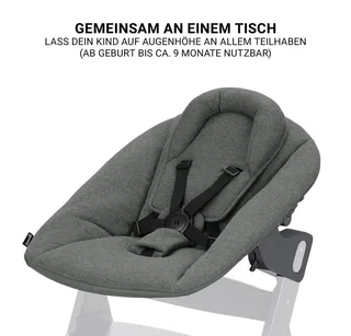 Hochstuhl Beta Plus Dark Grey - Newborn Set, Babystuhl ab Geburt inkl. Aufsatz für Neugeborene, Tisch, Sitzauflage by Hauck in Beige – product photo 5 of 5