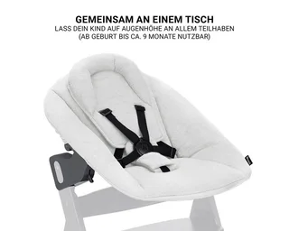 Hochstuhl Beta Plus Dark Grey - Newborn Set Premium (Set), Babystuhl ab Geburt mit Neugeborenen Aufsatz, Sitzpolster & Essbrett by Hauck in Grey – product photo 4 of 4