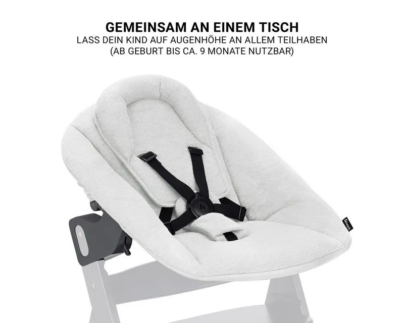 Hochstuhl Beta Plus Dark Grey - Newborn Set Premium (Set), Babystuhl ab Geburt mit Neugeborenen Aufsatz, Sitzpolster & Essbrett by Hauck in Grey – product photo 4 of 4
