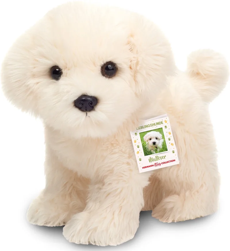 Knuffeldier hond Maltezer puppy - zachte pluche - premium kwaliteit knuffels - 23 cm fra Hermann Teddy Collection i Hvid – produktbillede