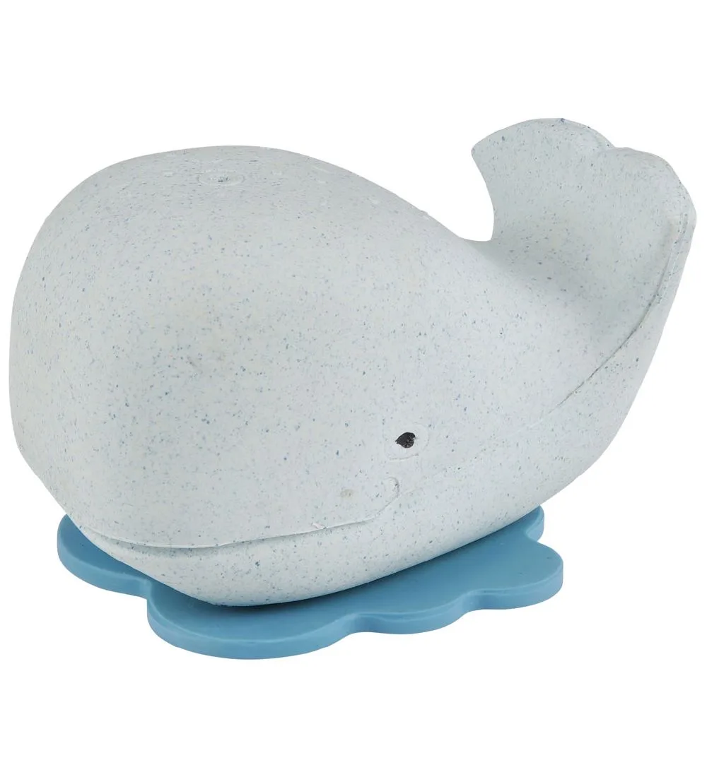 Badspeelgoed - Natuurlijk Rubber - Walvis - Sneeuwstorm Bl van Hevea – productfoto