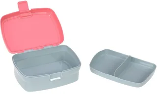 Lunchbox About Friends, Dino rose, Polyprophylen (PP), Tritan, (Set, 2-tlg), mit Trinkflasche by Lässig in Pink – product photo 2 of 5