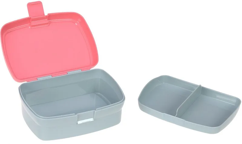 Lunchbox About Friends, Dino rose, Polyprophylen (PP), Tritan, (Set, 2-tlg), mit Trinkflasche by Lässig in Pink – product photo 2 of 5