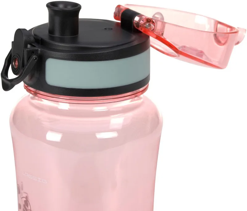 Lunchbox About Friends, Dino rose, Polyprophylen (PP), Tritan, (Set, 2-tlg), mit Trinkflasche by Lässig in Pink – product photo 5 of 5