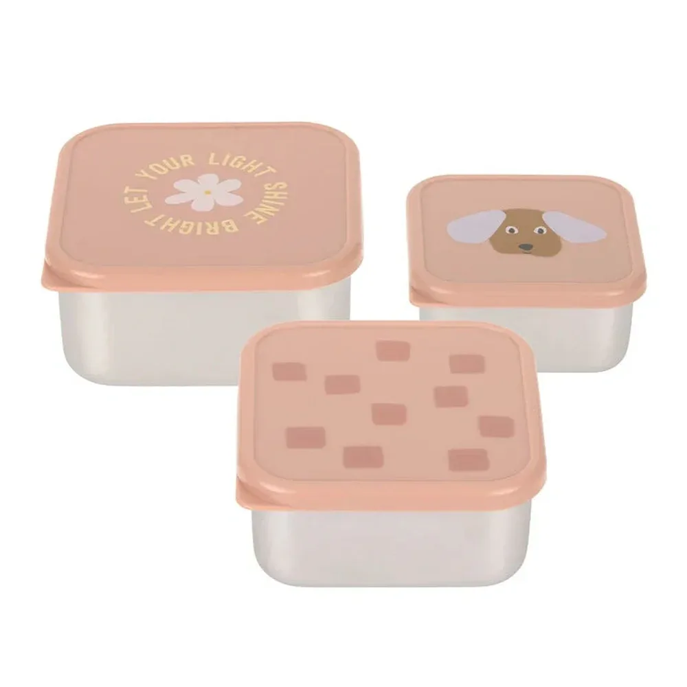 Roestvrije Snackbox 3 Delige Set - Party Rose van Lässig – productfoto