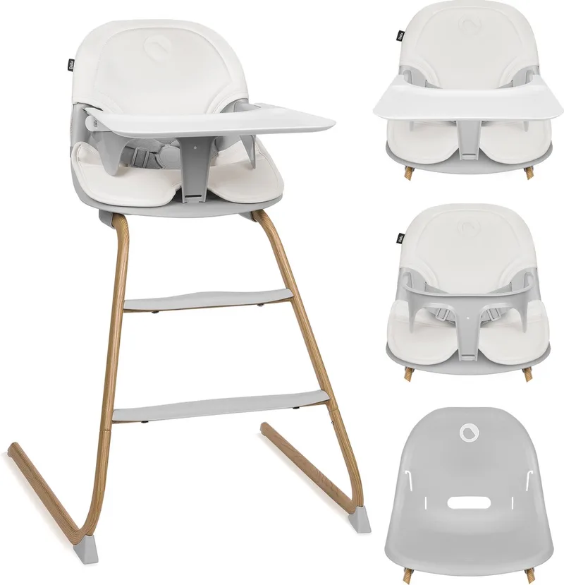 Dalia 2-in-1 Kinderstoel – Meegroeistoel 6 mnd tot 60 kg – Lichtgewicht 3,5 kg – Stabiel frame – 5-puntsgordel – Afneembare dienblad (vaatwasserbestendig) – 2 voetsteunen – Ergonomische zit – Draaggreep – Eenvoudig schoon te maken de Lionelo en Donkergrijs – photo produit