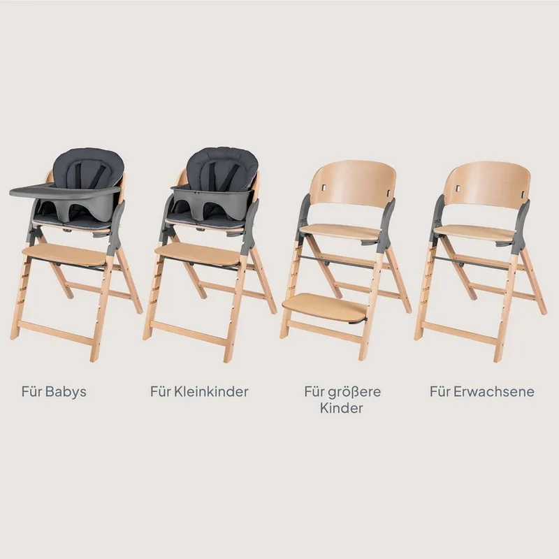 Hochstuhl MEGAN (Sitzkissen + Tablett), 3in1/mitwachsend/bis 110kg belastbar/werkzeuglos verstellbar by Lionelo in Grey – product photo 4 of 5