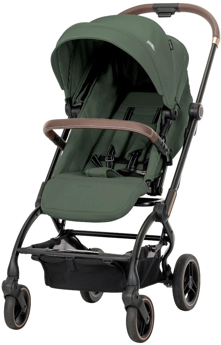 Makaya Green 360° Wandelwagen de Lorelli en Groen – photo produit