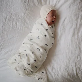 Hydrofiele Doek XL Swaddle från Mushie i Whales – produktbild 3 av 4