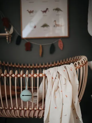 zachte grote Hydrofiel doek / Tetradoek | 120 x 120 cm | Dinosaurus van Mushie in Beige – productfoto 4 van 4