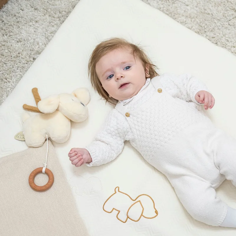 Hond Charlie - Muziek Knuffel - Karamel - 20 cm de Nattou en Hond Karamel – photo produit