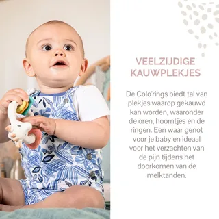Sophie de giraf Colo'rings - Bijtring - Babyspeelgoed - Kraamcadeau - Babyshower cadeau - 100% natuurlijk rubber - In gerecyled geschenkdoosje met organic katoenen strikje - Vanaf 0 maanden van Sophie la Girafe in Wit – productfoto 3 van 4
