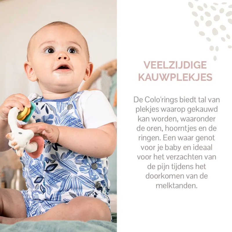 Sophie de giraf Colo'rings - Bijtring - Babyspeelgoed - Kraamcadeau - Babyshower cadeau - 100% natuurlijk rubber - In gerecyled geschenkdoosje met organic katoenen strikje - Vanaf 0 maanden van Sophie la Girafe in Wit – productfoto 3 van 4