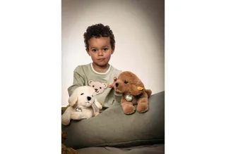 Kuscheltier Kuscheltier Teddies For Tomorrow Labrador Lenny Braun (23cm) de Steiff – photo produit 3 sur 5