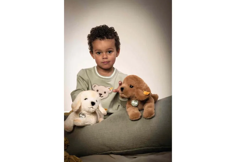 Kuscheltier Kuscheltier Teddies For Tomorrow Labrador Lenny Braun (23cm) de Steiff – photo produit 3 sur 5