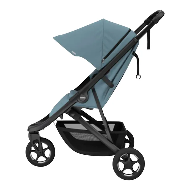 Buggy Spring 2