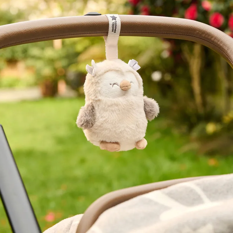Einschlafhilfe Mini van Tommee Tippee in Meerkleurig, 7,5 × 11 × 12,6 mm – productfoto 1 van 3