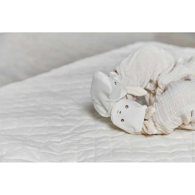 Mijn Eerste Geboortegeschenkdoos Met Teddybeer van Kaloo – productfoto 4 van 5