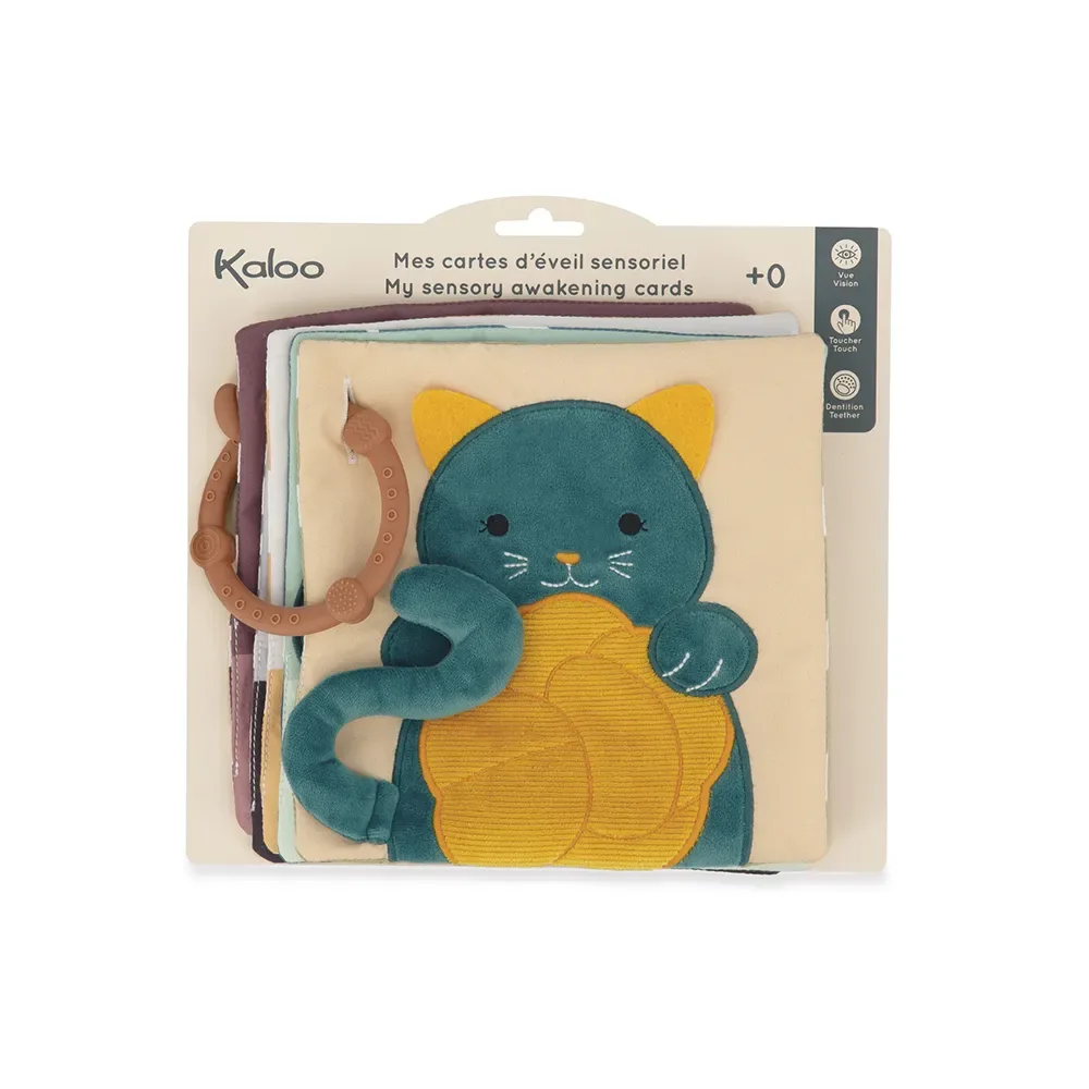 My Sensory Awakening Cards Teddybär von Kaloo – Produktfoto