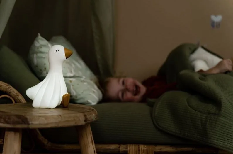 Nachtlampje Little Dutch Little Goose van Little Dutch – productfoto 3 van 4